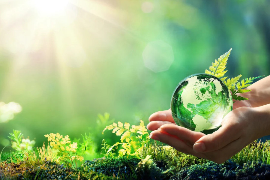 Trasforma il Tuo Hotel in una Struttura Eco-friendly e Aumenta i Profitti